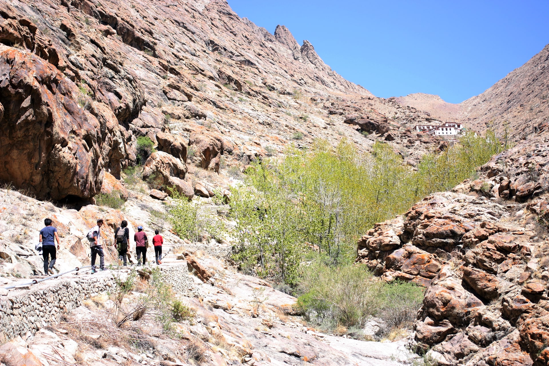 Cycling towards Thiksey Monastery